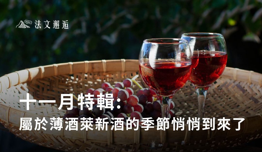 🍷十一月特輯：屬於薄酒萊新酒的季節悄悄到來了
