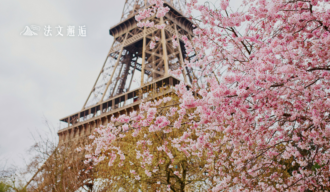 誰說賞櫻只能去日韓？ 法國賞櫻更好玩🌸 立刻筆記！法國賞櫻全攻略 🤫